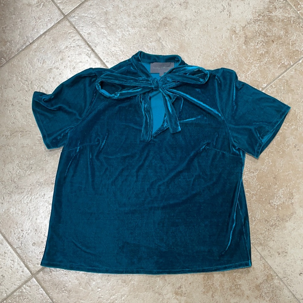 ANTHROPOLOGIE Sunday’s in Brooklyn suede bow top